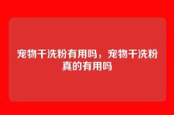 宠物干洗粉有用吗，宠物干洗粉真的有用吗