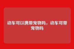 动车可以携带宠物吗，动车可带宠物吗