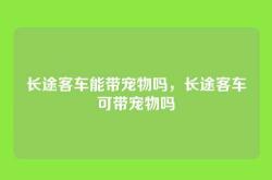 长途客车能带宠物吗，长途客车可带宠物吗