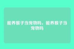能养猴子当宠物吗，能养猴子当宠物吗