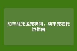 动车能托运宠物吗，动车宠物托运指南