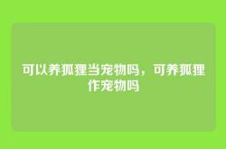 可以养狐狸当宠物吗，可养狐狸作宠物吗