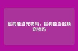 鬣狗能当宠物吗，鬣狗能当温顺宠物吗