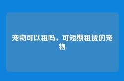 宠物可以租吗，可短期租赁的宠物