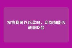 宠物狗可以吃盐吗，宠物狗能否适量吃盐