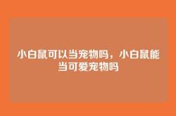 小白鼠可以当宠物吗，小白鼠能当可爱宠物吗