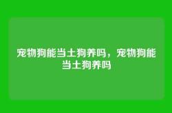 宠物狗能当土狗养吗，宠物狗能当土狗养吗