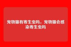 宠物猫有寄生虫吗，宠物猫会感染寄生虫吗