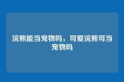 浣熊能当宠物吗，可爱浣熊可当宠物吗