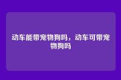 动车能带宠物狗吗，动车可带宠物狗吗