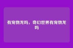 有宠物龙吗，奇幻世界有宠物龙吗