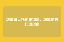 动车可以托运宠物吗，动车宠物托运指南