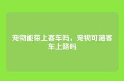宠物能带上客车吗，宠物可随客车上路吗