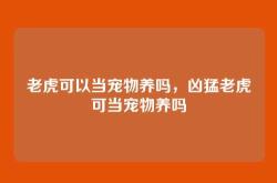 老虎可以当宠物养吗，凶猛老虎可当宠物养吗