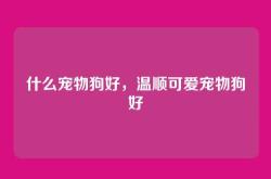 什么宠物狗好，温顺可爱宠物狗好