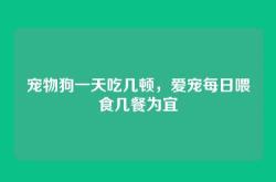 宠物狗一天吃几顿，爱宠每日喂食几餐为宜
