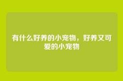 有什么好养的小宠物，好养又可爱的小宠物