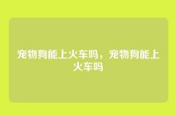 宠物狗能上火车吗，宠物狗能上火车吗