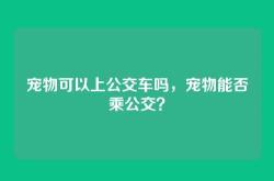 宠物可以上公交车吗，宠物能否乘公交？