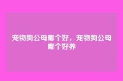 宠物狗公母哪个好，宠物狗公母哪个好养