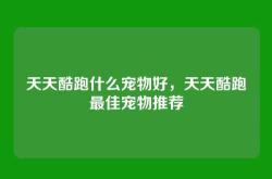 天天酷跑什么宠物好，天天酷跑最佳宠物推荐
