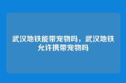 武汉地铁能带宠物吗，武汉地铁允许携带宠物吗