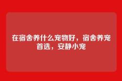 在宿舍养什么宠物好，宿舍养宠首选，安静小宠