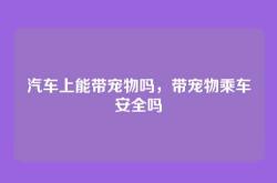 汽车上能带宠物吗，带宠物乘车安全吗