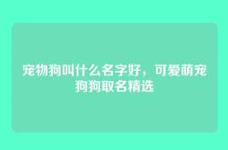 宠物狗叫什么名字好，可爱萌宠狗狗取名精选