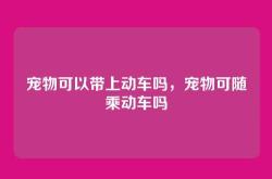 宠物可以带上动车吗，宠物可随乘动车吗