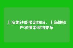 上海地铁能带宠物吗，上海地铁严禁携带宠物乘车