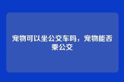 宠物可以坐公交车吗，宠物能否乘公交