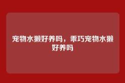 宠物水獭好养吗，乖巧宠物水獭好养吗