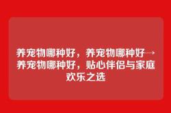 养宠物哪种好，养宠物哪种好→养宠物哪种好，贴心伴侣与家庭欢乐之选