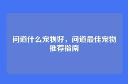问道什么宠物好，问道最佳宠物推荐指南