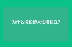 为什么说松狮犬性格独立？