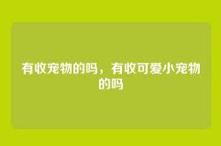 有收宠物的吗，有收可爱小宠物的吗