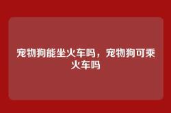 宠物狗能坐火车吗，宠物狗可乘火车吗