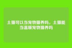 土猫可以当宠物猫养吗，土猫能当温顺宠物猫养吗