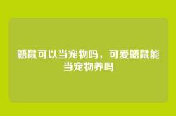 鼯鼠可以当宠物吗，可爱鼯鼠能当宠物养吗