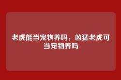 老虎能当宠物养吗，凶猛老虎可当宠物养吗