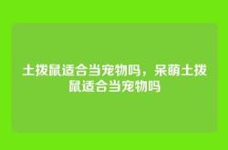 土拨鼠适合当宠物吗，呆萌土拨鼠适合当宠物吗