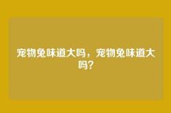 宠物兔味道大吗，宠物兔味道大吗？