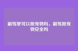 副驾驶可以抱宠物吗，副驾抱宠物安全吗