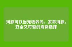 河豚可以当宠物养吗，家养河豚，安全又可爱的宠物选择