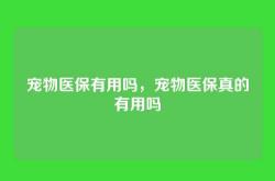 宠物医保有用吗，宠物医保真的有用吗