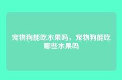 宠物狗能吃水果吗，宠物狗能吃哪些水果吗