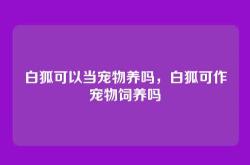 白狐可以当宠物养吗，白狐可作宠物饲养吗