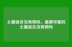 土猫适合当宠物吗，温顺可爱的土猫适合当宠物吗