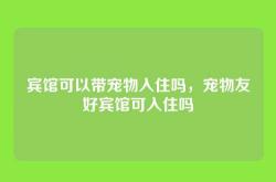 宾馆可以带宠物入住吗，宠物友好宾馆可入住吗
